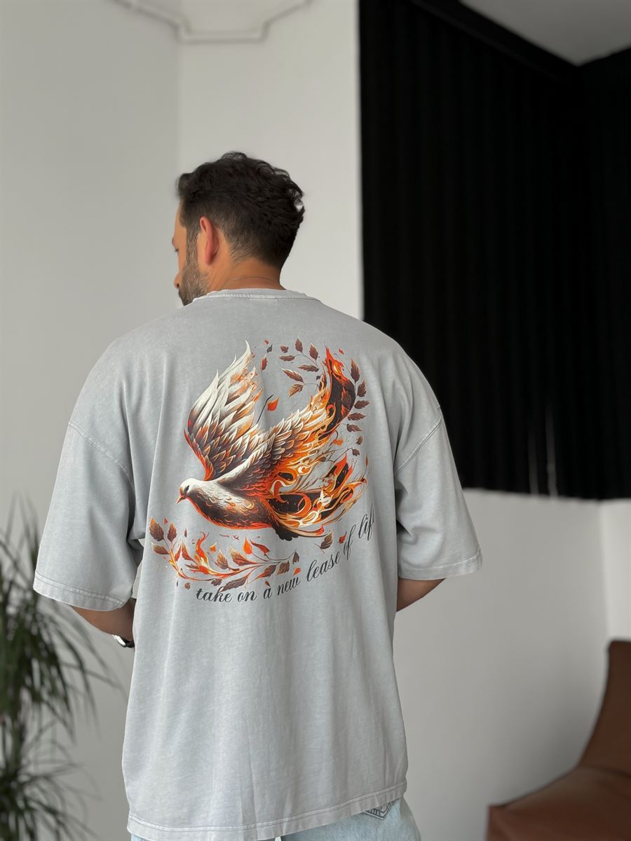 Gri Bird Baskılı Yıkamalı T-Shirt RES-4167