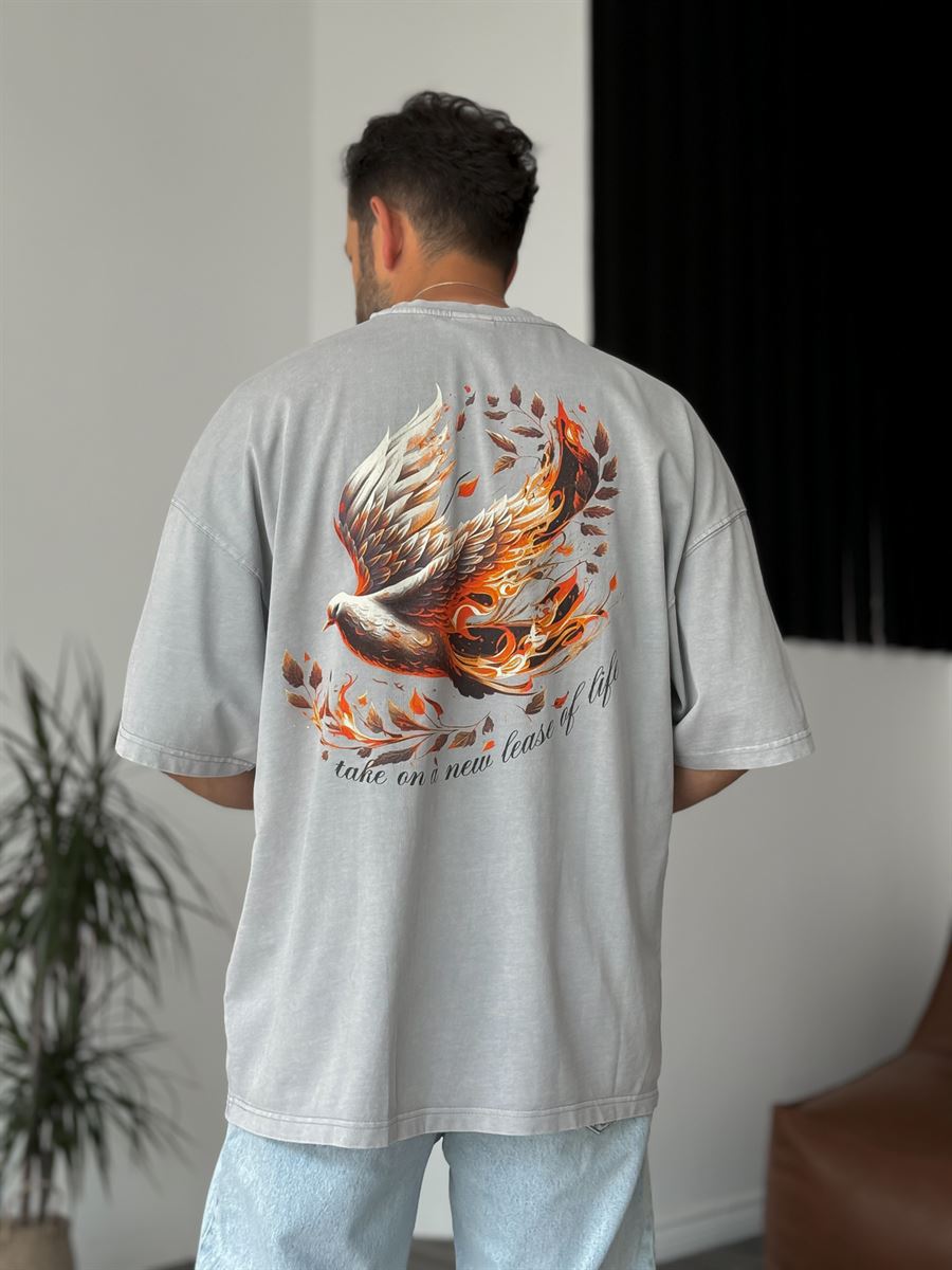 Gri Bird Baskılı Yıkamalı T-Shirt RES-4167