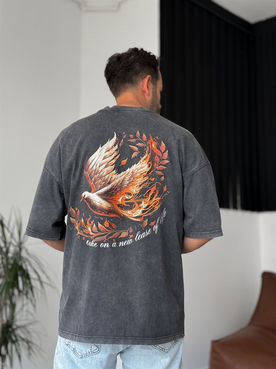 Antrasit Bird Baskılı Yıkamalı T-Shirt RES-4167